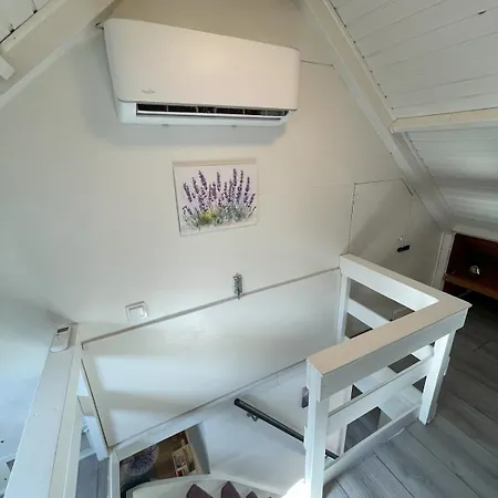 Lavendel Herkingen