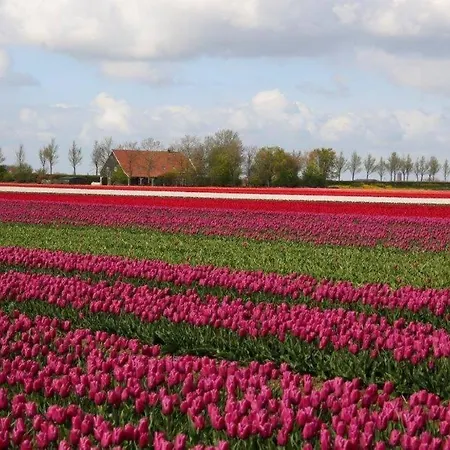 Апартаменты Lavendel *